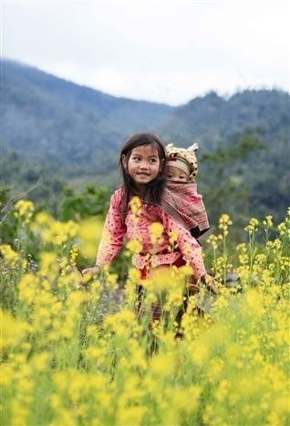 Trẻ em ở Chiêu Ly, xã Sa Lông (Mường Chà, Điện Biên) vui đùa tung tăng giữa vườn hoa cải nở rộ giữa bản làng. Ảnh: Xuân Tư/TTXVN dienbien-10.jpg