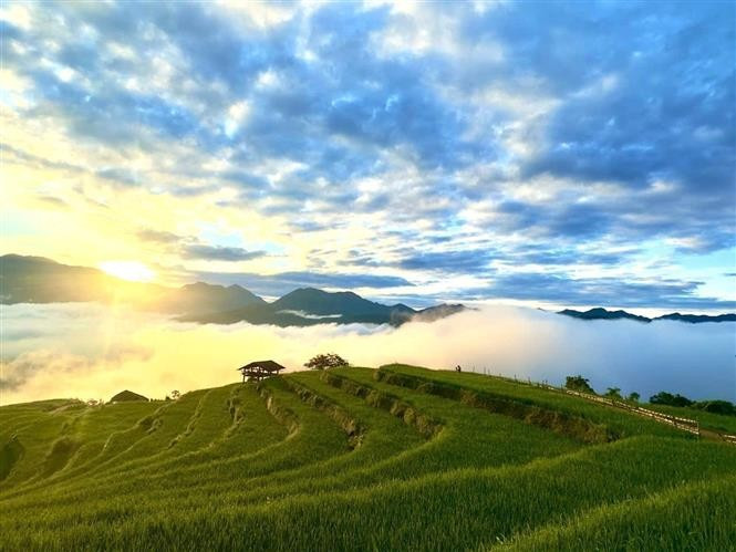 Ruộng bậc thang ở Thông Nguyên (Tuyên Quang) trong nắng thu. Ảnh: Triệu Quyên/ TTXVN phát mua-vang2.jpg