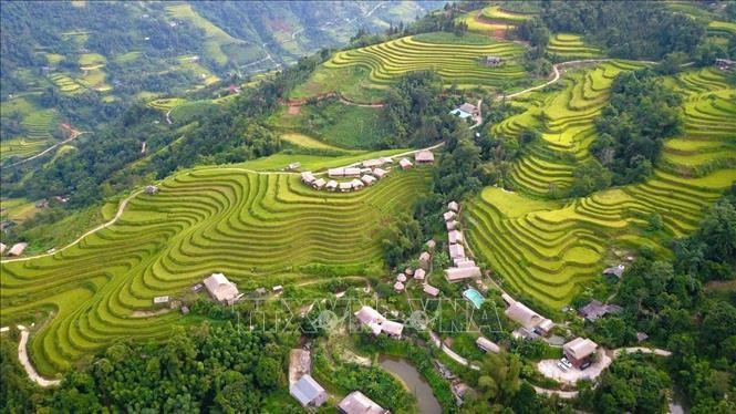 Ruộng bậc thang uốn lượn quanh sườn núi, tạo nên bức tranh thiên nhiên hùng vĩ và nên thơ. Ảnh: Triệu Quyên/ TTXVN phát mua-vang3.jpg
