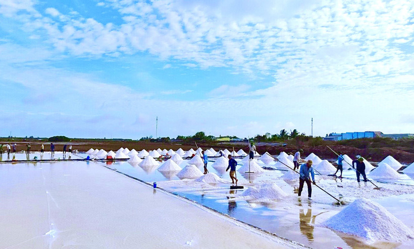 Bảo tồn và nâng giá trị cho nghề muối ở Bạc Liêu