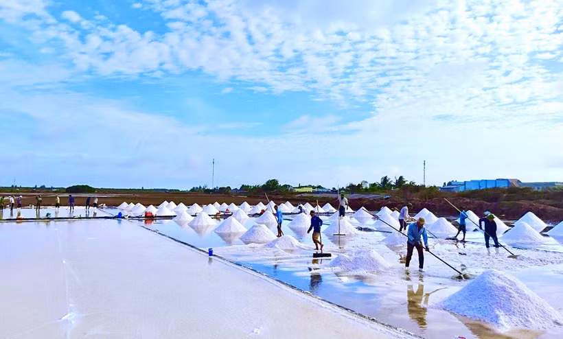Bảo tồn và nâng giá trị cho nghề muối ở Bạc Liêu