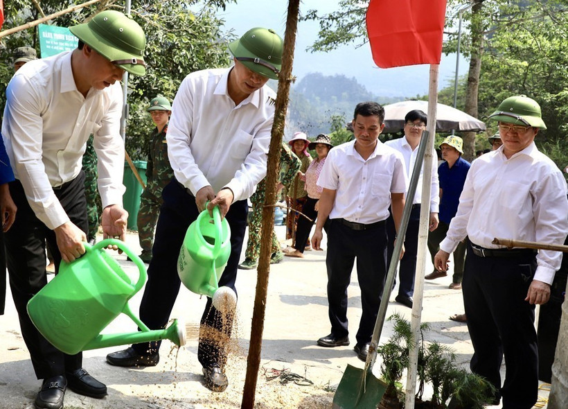Hà Giang: Phát động trồng cây Hành trình biên cương xanh - 2023
