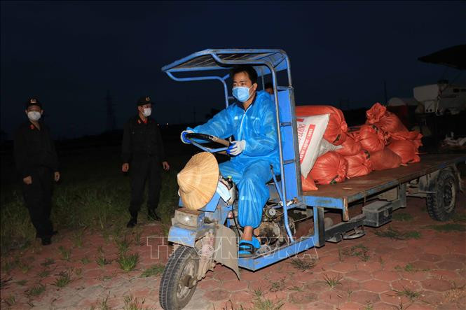 Vận chuyển lúa giúp dân vùng phong tỏa. Ảnh: Thanh Thương- TTXVN
