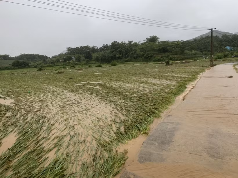 Mưa lũ gây nhiều thiệt hại tại Lào Cai