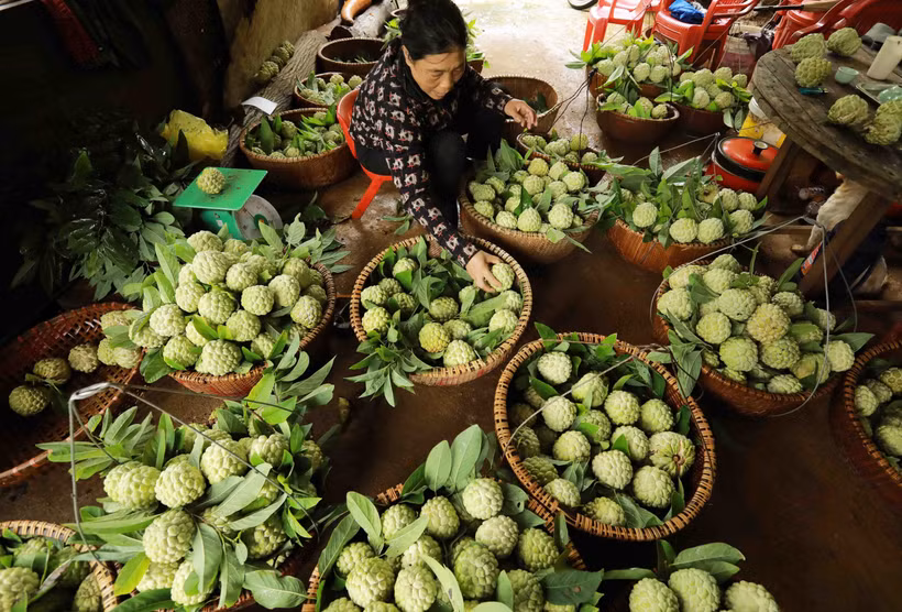 Khởi sắc nông thôn mới vùng cao Xứ Lạng (Bài cuối)