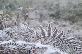 Băng giá phủ trắng Y Tý