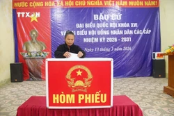 Nghệ An: 55 khu vực bỏ phiếu sớm đều đạt tỷ lệ cử tri đi bầu cao