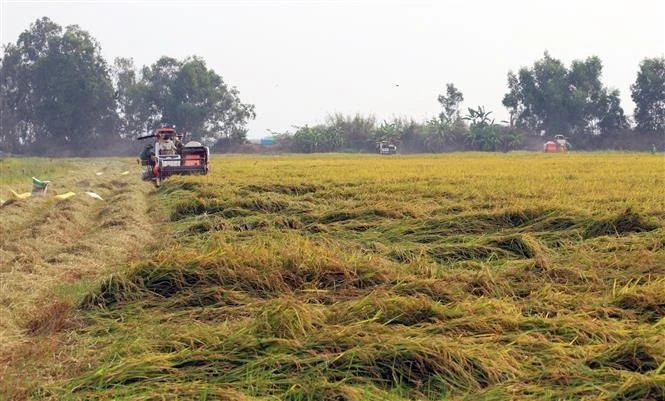 Huyện biên giới Giang Thành phấn đấu đạt tiêu chí nông thôn mới