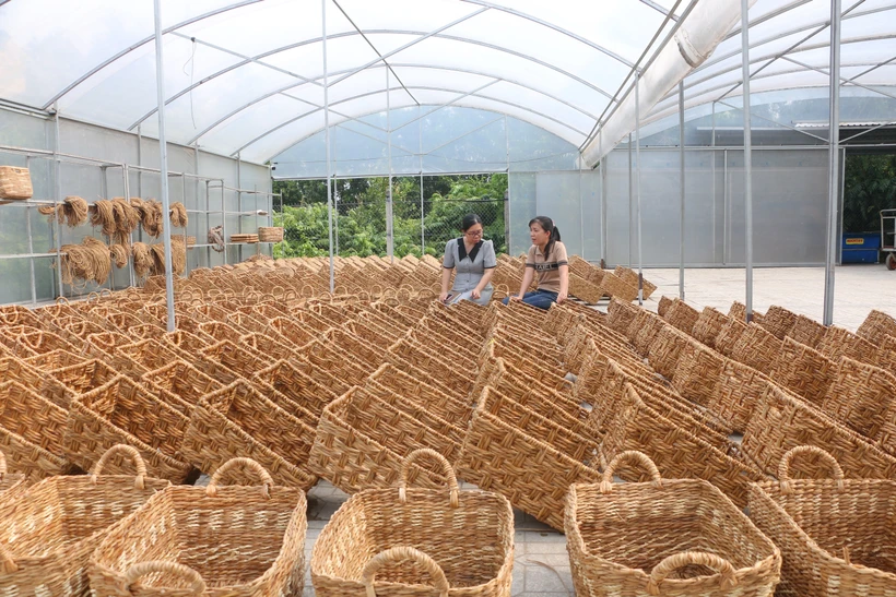 Đồng bằng sông Cửu Long đổi mới từ sức mạnh đoàn kết (Bài 2)