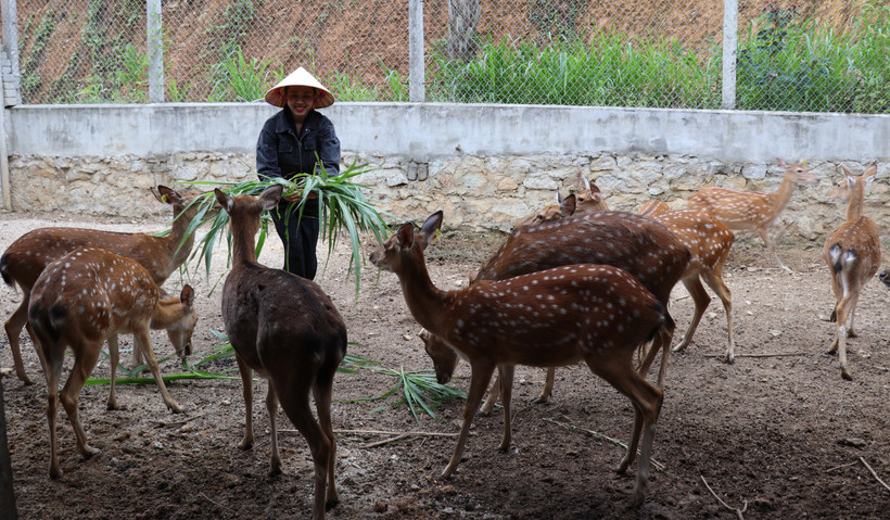 Hà Tĩnh phát triển các mô hình OCOP, lan tỏa tinh thần khởi nghiệp