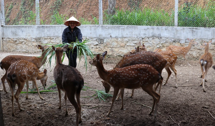 Hà Tĩnh phát triển các mô hình OCOP, lan tỏa tinh thần khởi nghiệp
