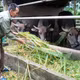 Trao 'cần câu' tạo sinh kế bền vững cho các hộ nghèo ở vùng khó khăn