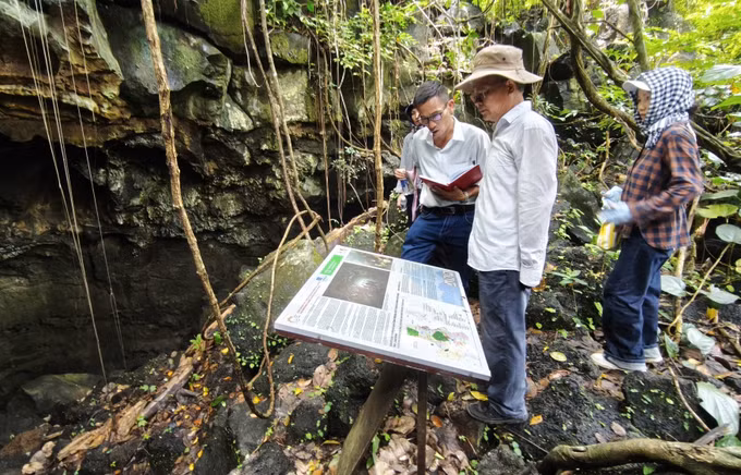 PGS.TS Trần Tân Văn (người đội mũ), Chủ tịch Mạng lưới Công viên địa chất toàn cầu UNESCO Việt Nam, khảo sát hệ thống hang động núi lửa (hang C4) trong vùng Công viên địa chất toàn cầu UNESCO Đắk Nông (xã Nam Đà, tỉnh Lâm Đồng). Ảnh: Nguyễn Huy Thành/TTXVN