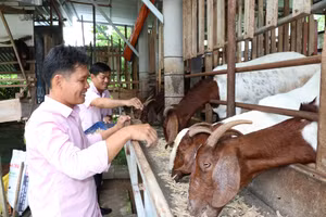 Đưa vốn tới tận cơ sở tiếp sức phát triển sản xuất