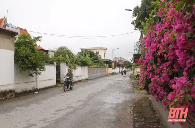 Lan tỏa phong trào xây dựng nông thôn mới ở Thanh Hóa ảnh 1