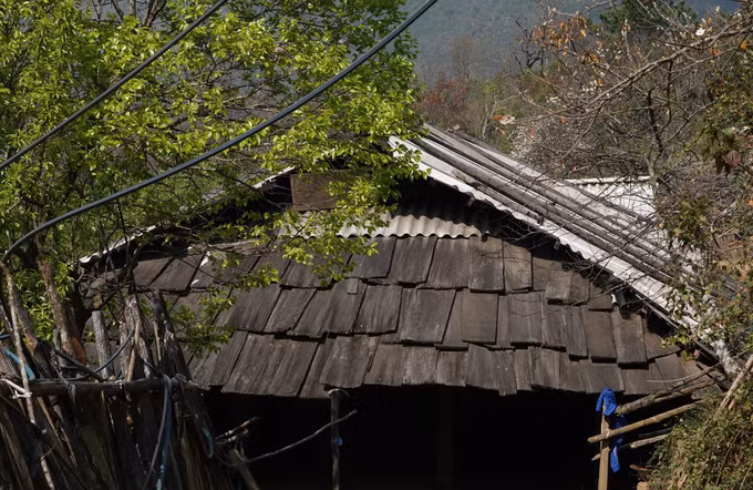 Những nếp nhà gỗ Pơ Mu độc đáo ở Lùng Cúng ảnh 4