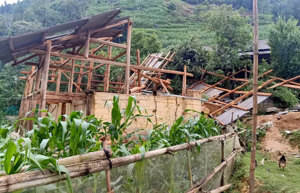  Mưa to, dông lốc gây một số thiệt hại ở Lào Cai ảnh 1