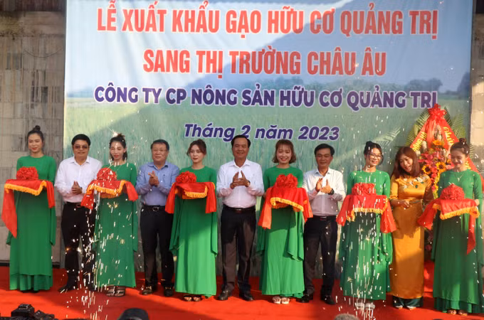 Quảng Trị xuất khẩu lô gạo hữu cơ đầu tiên sang châu Âu ảnh 1