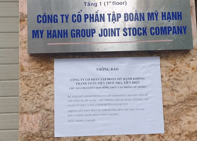"Bánh vẽ" sâm Ngọc Linh (Bài 3) ảnh 2