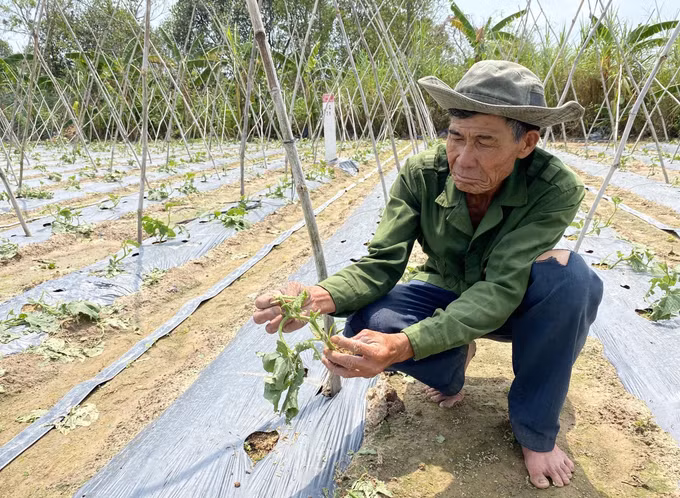 Kon Tum: Mưa đá gây thiệt hại nhiều tài sản, hoa màu ảnh 1