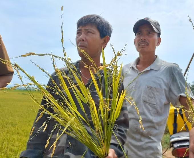 Kon Tum: Mưa đá gây thiệt hại nhiều tài sản, hoa màu ảnh 5