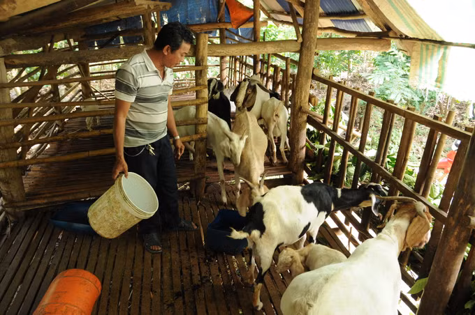 Hiệu quả phong trào nông dân sản xuất giỏi ở Đồng Nai ảnh 3