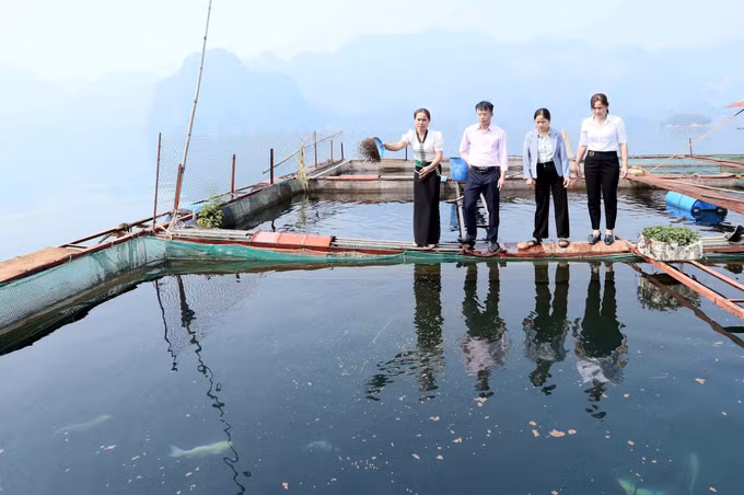 potal-son-la-chi-hoi-truong-phu-nu-nang-dong-trong-cong-tac-hoi-va-phat-trien-kinh-te-gia-dinh-7951881.jpg