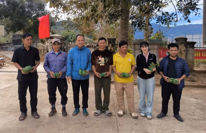 potal-cap-phat-mien-phi-hon-3300-cay-giong-sam-ngoc-linh-cho-nguoi-dan-huyen-tu-mo-rong-7850700.jpg