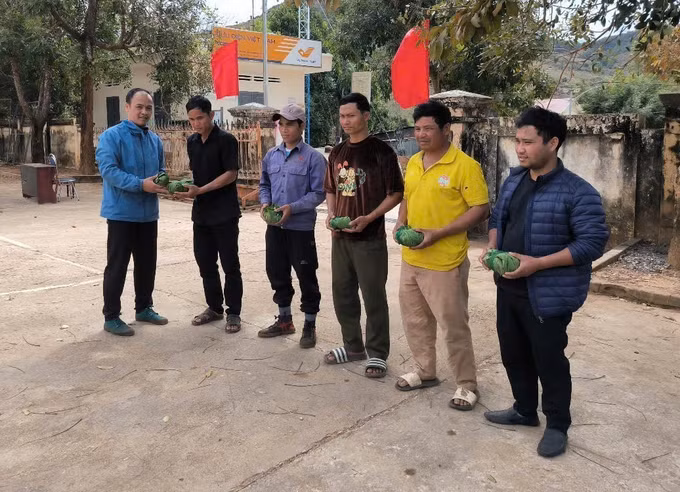 potal-cap-phat-mien-phi-hon-3300-cay-giong-sam-ngoc-linh-cho-nguoi-dan-huyen-tu-mo-rong-7850701.jpg