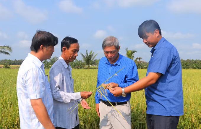 potal-50-nam-dat-nuoc-thong-nhat-doi-thay-vung-dong-bao-dan-toc-khmer-7930531.jpg