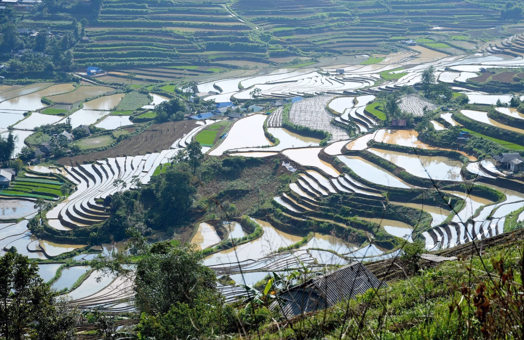 Những thửa ruộng bậc thang uốn lượn ôm quanh các sườn núi tạo ra bức tranh thủy mặc giữa đại ngàn.