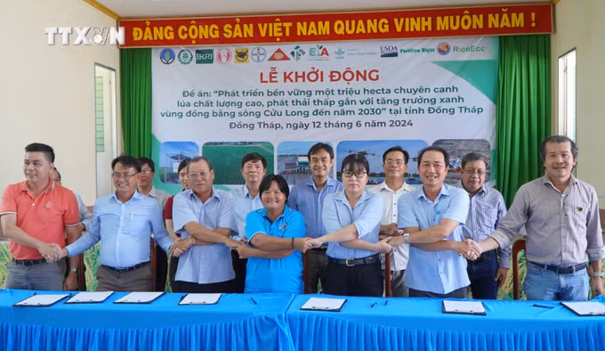 vna_potal_khoi_dong_de_an_1_trieu_ha_chuyen_canh_lua_chat_luong_cao_phat_thai_thap_tai_dong_thap_7426703.jpg