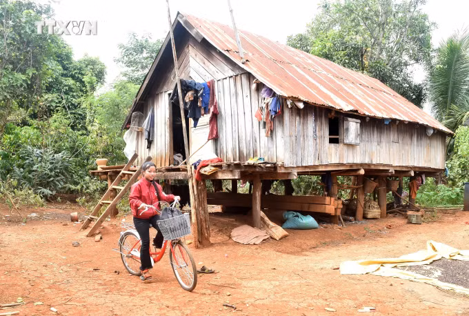 vna_potal_thay_giao_tre_dam_me_cong_tac_thien_nguyen_7213651.jpg