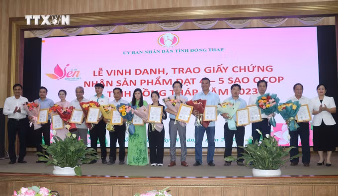 vna_potal_dong_thap_hoi_thao_nang_cao_chuoi_gia_tri_nganh_hang_sen_gan_voi_tuan_hoan_tang_truong_xanh_7382989.jpg
