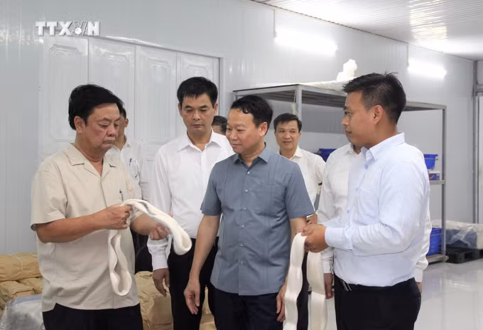 vna_potal_doan_cong_tac_bo_nong_nghiep_va_phat_trien_nong_thon_lam_viec_tai_yen_bai_7444135.jpg