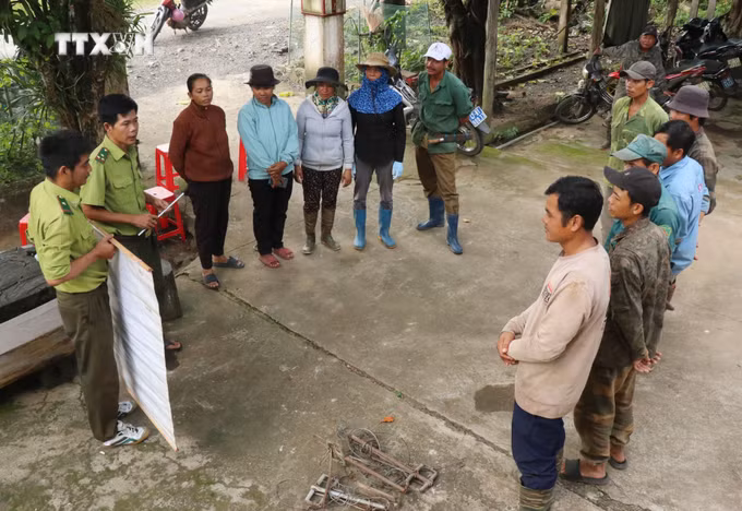 vna_potal_vuon_quoc_gia_yok_don_phat_huy_vai_tro_cong_dong_trong_quan_ly_bao_ve_rung_7628745.jpg