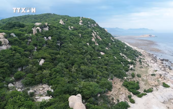 vna_potal_ninh_thuan_trien_khai_nhieu_giai_phap_de_thich_ung_bien_doi_khi_hau_7600133.jpg