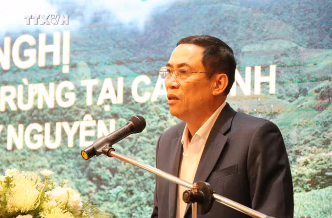 vna_potal_hoi_nghi_trien_khai_kiem_ke_rung_tai_cac_tinh_vung_tay_nguyen_7728795.jpg
