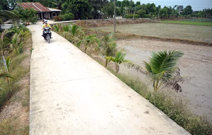 Khởi sắc nông thôn mới Long An ảnh 4