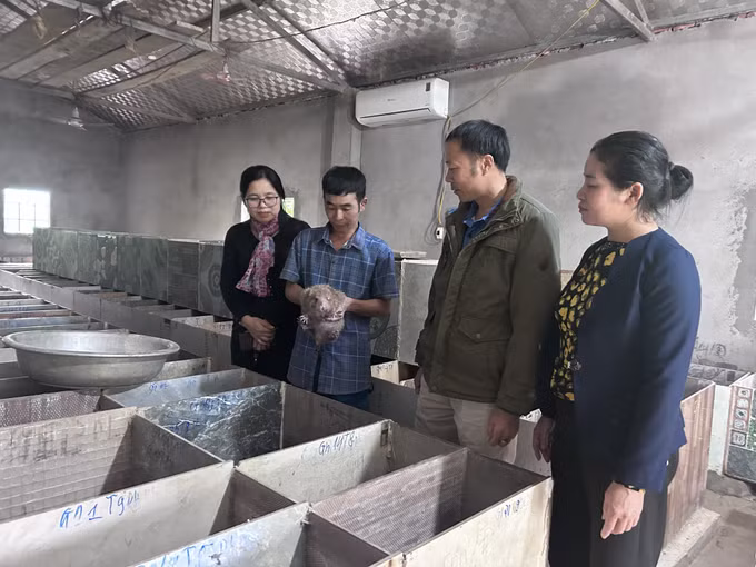 Từ sự hỗ trợ 70 triệu đồng xây dựng mô hình đa dạng hóa sinh kế, tập huấn kỹ thuật của xã trong chăn nuôi, anh Lộc Văn Trung đã hỗ trợ cho gần 20 hộ gia đình cùng nuôi dúi trong bản.