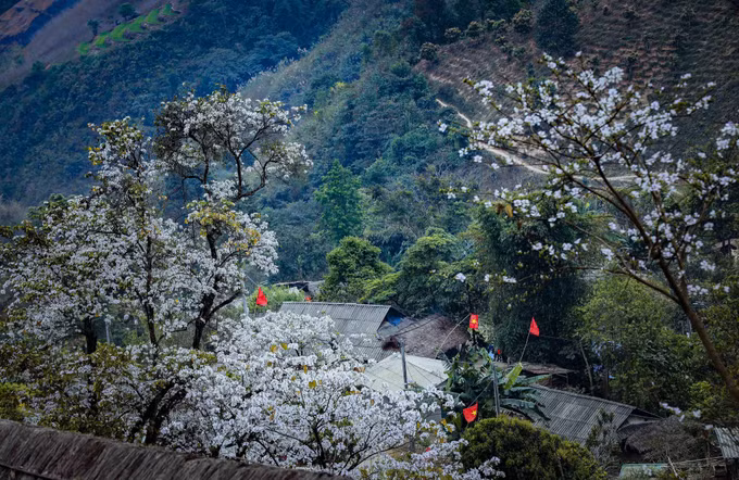dien-bien-190625.jpg