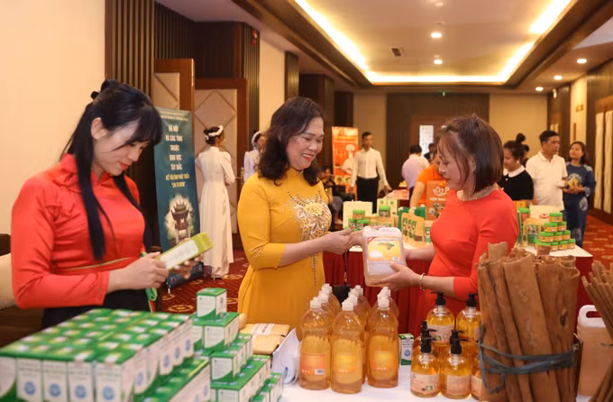 Hà Nội kết nối các tỉnh Tây Bắc cùng phát triển ảnh 3
