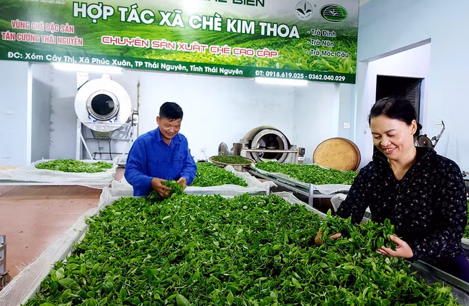 Đột phá tăng trưởng từ phát triển nông nghiệp công nghệ cao ở Thái Nguyên ảnh 1