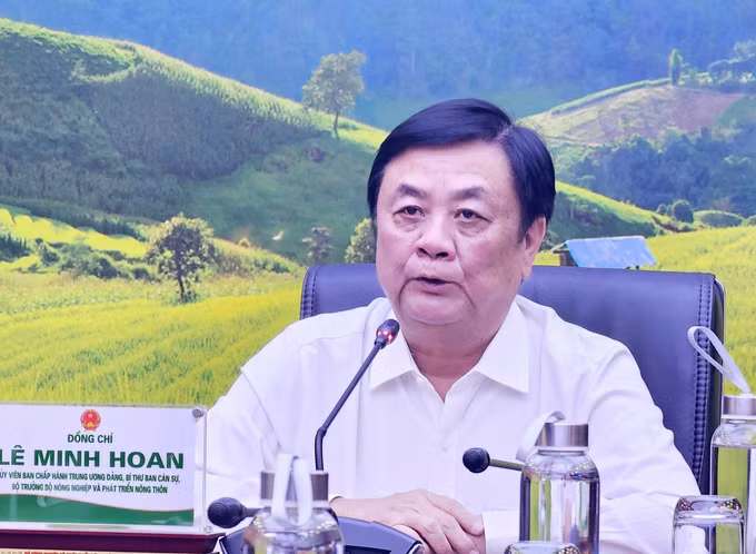 Nhận diện thực trạng liên kết tiêu thụ, xuất khẩu sầu riêng ảnh 1