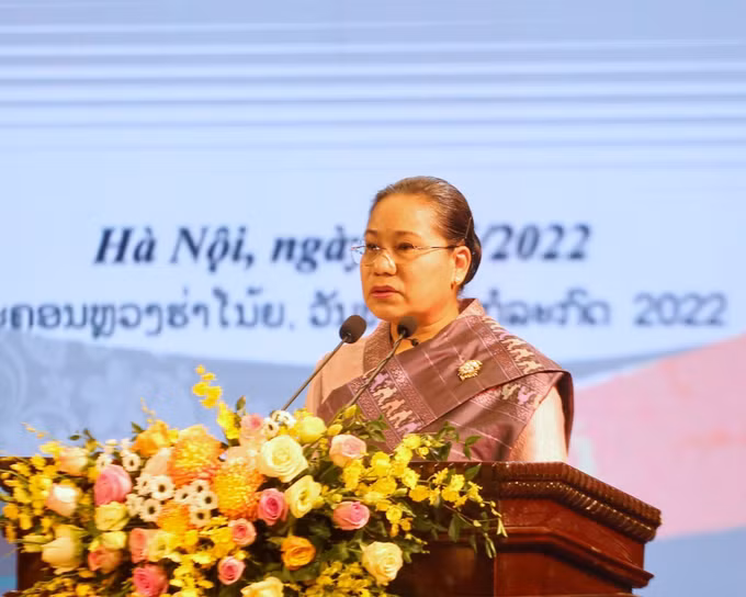 Khai mạc Tuần Văn hóa Lào tại Việt Nam ảnh 2