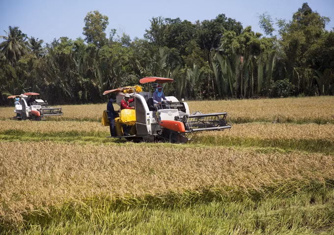 Nâng cao năng lực thích ứng với biến đổi khí hậu của hợp tác xã nông nghiệp vùng Đồng bằng sông Cửu Long ảnh 1