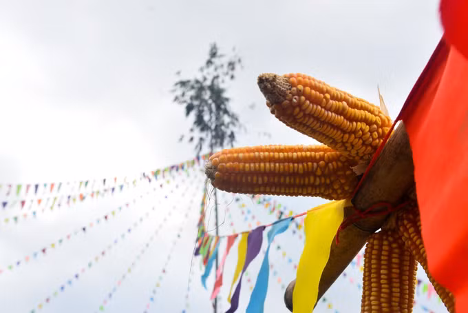Đặc sắc Ngày hội Văn hóa dân tộc Mông và Festival khèn Mông năm 2023 ảnh 3