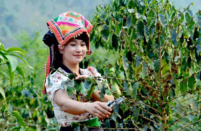 Thuận Châu đẩy mạnh Chương trình mục tiêu quốc gia giảm nghèo bền vững ảnh 6