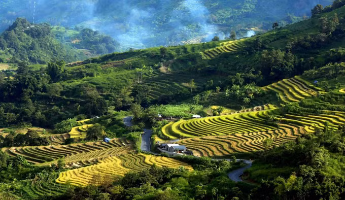 Mùa vàng trên vùng biên Phong Thổ (Lai Châu) ảnh 9