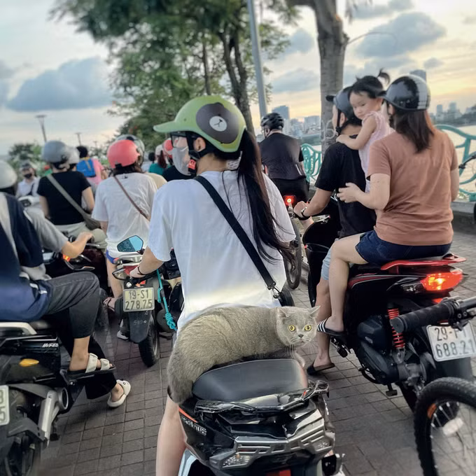 chieu-he-pho-quang-ba-ho-tay-2024le-xuan-phong.jpg